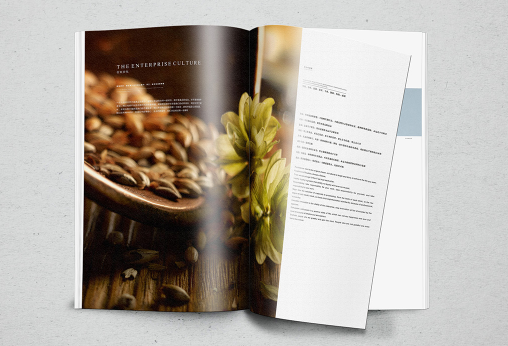 東莞畫冊設(shè)計如何風格定位？